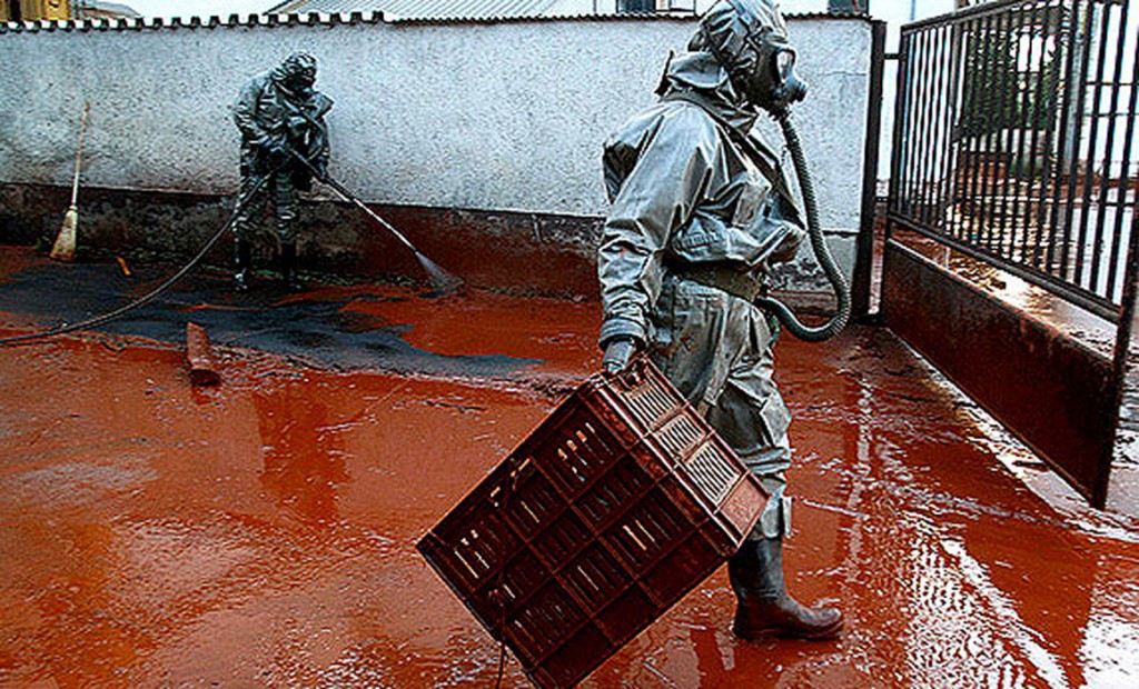 hungary-toxic-spill-suit