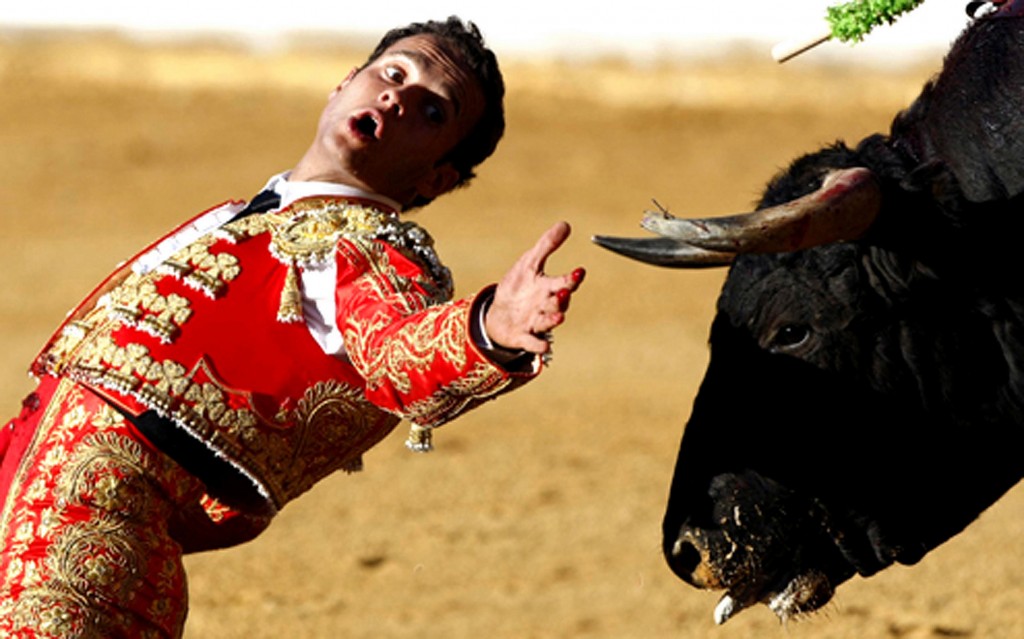 Spanish bullfighter Jose Antonio Ferrera performs a pass to a bull during a bullfight at the bullring El Plantio in Burgos northern Spain