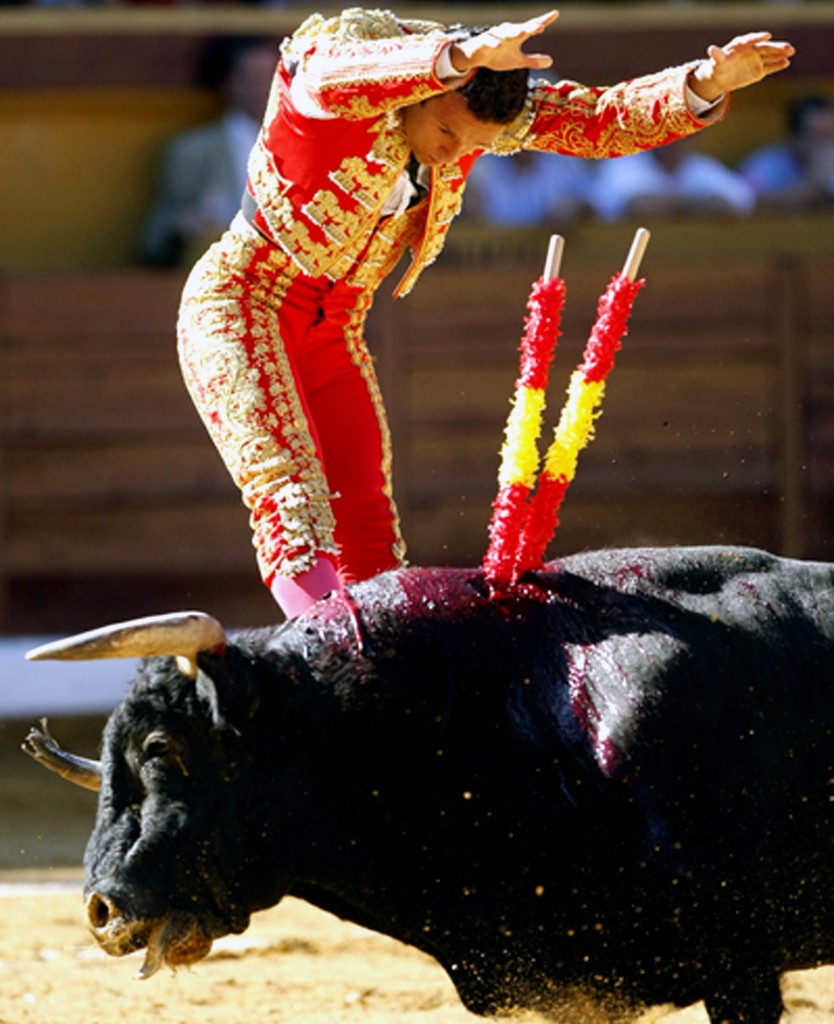 Spanish bullfighter Jose Antonio Ferrera drives banderillas into a bull during a bullfight at the bullring El Plantio in Burgos northern Spain