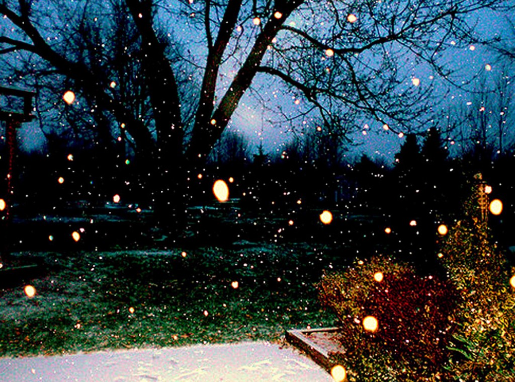 fairytale,sparkle,winter,tree,teal,dusk,landscape,magic,night-82685e0c183ebe6615e8ca7661985170_h