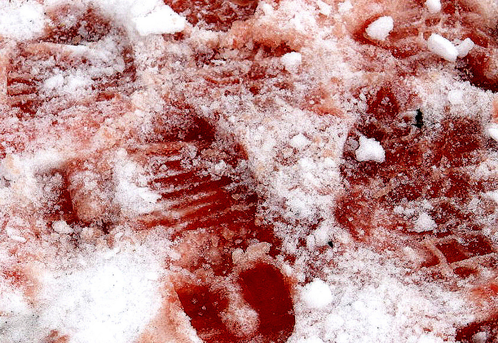 1traces_of_blood_in_snow_by_bamby_laura1