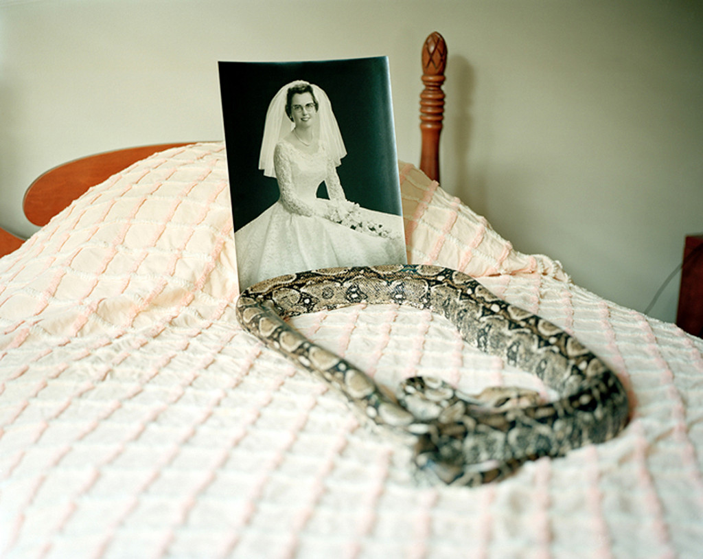 ------------snakes_on_my_childhood_bed