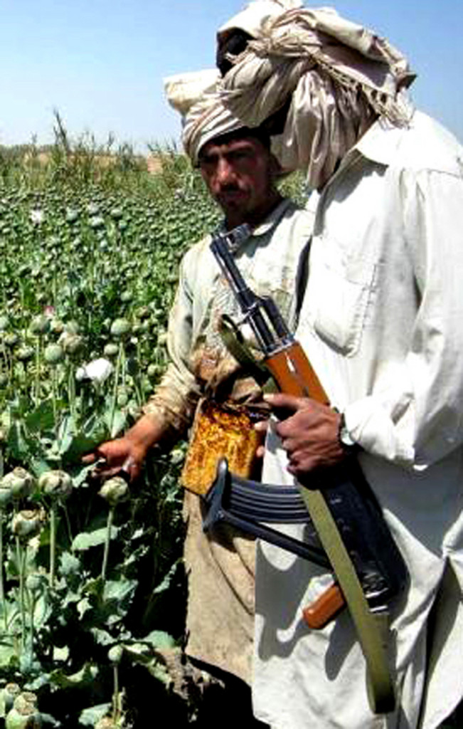 taliban-drug