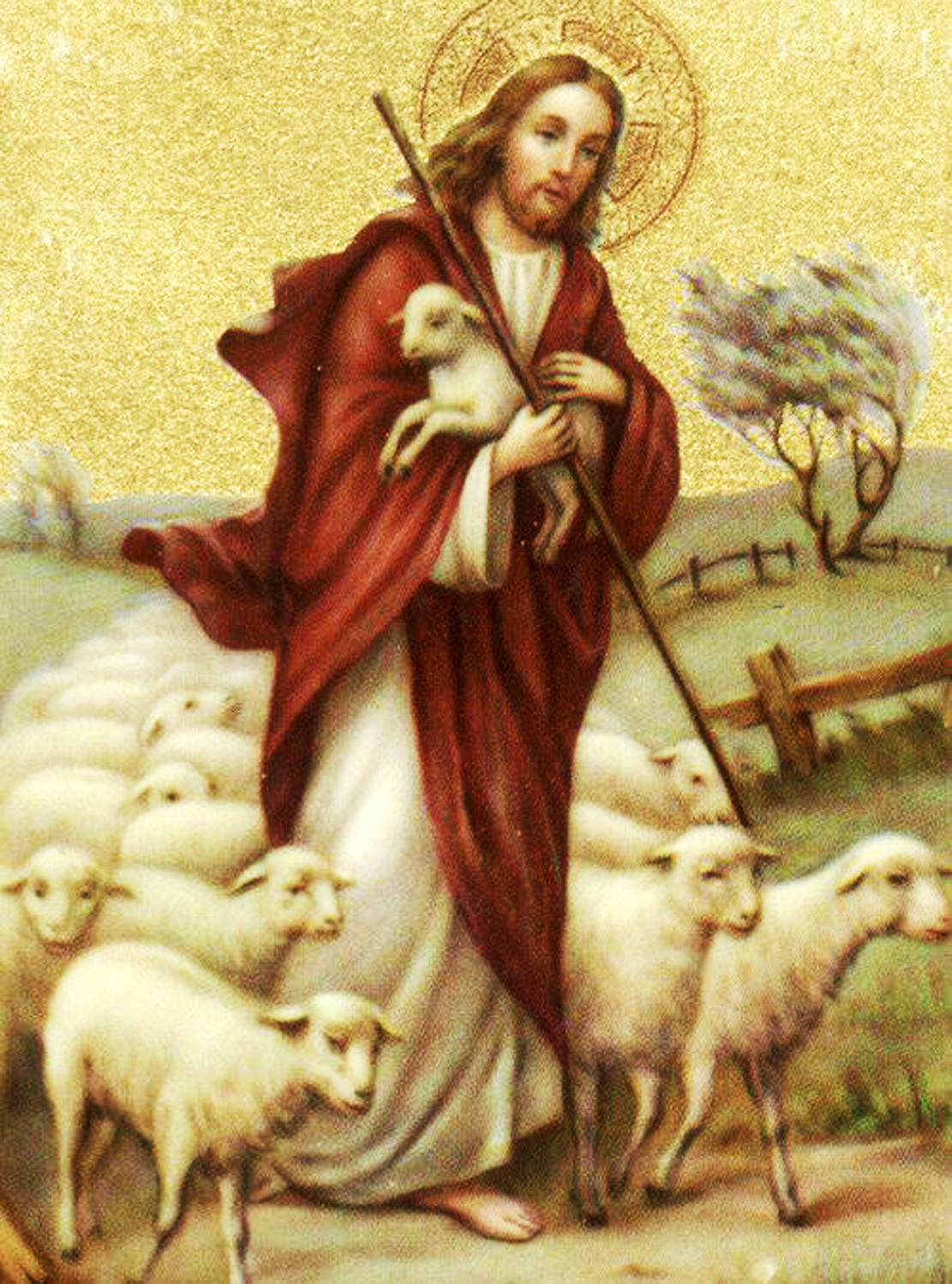 Христос добрый пастырь. Спас добрый Пастырь икона. Иисус добрый Пастырь икона. Добрый Пастырь Джованни. Икона добрый Пастырь Владимирского собора.