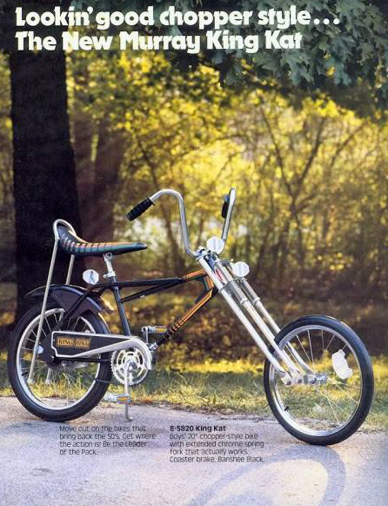 10675575_941149772579782_8745751304696861849_n