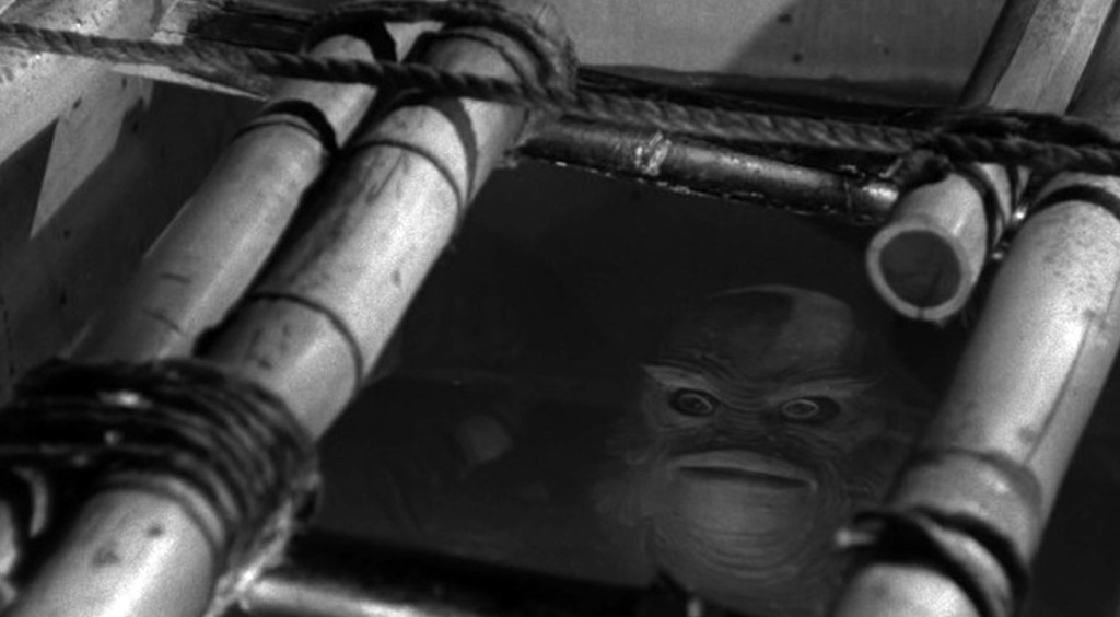 800__creature_from_the_black_lagoon_blu-ray_10_