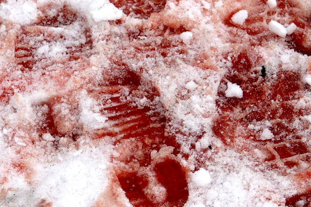 traces_of_blood_in_snow_by_bamby_laura1