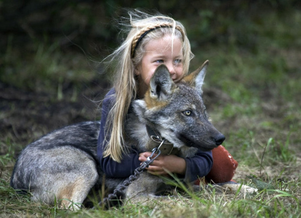 A girl plays with a tame wolf in the village of Nadbiarezha, some 250 km (156 miles) northwest of Minsk, September 23, 2009. REUTERS/Vasily Fedosenko (BELARUS ANIMALS ENVIRONMENT) - RTR287DH