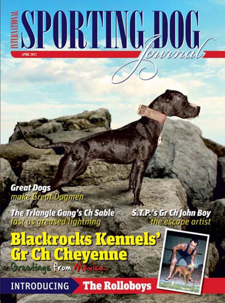 sporting+dog+journal