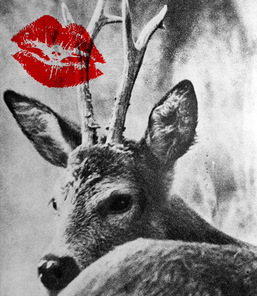 a hunter mouth can never kiss a fawn the way she is supposed to be kissed N2oA1relrdqo1_500