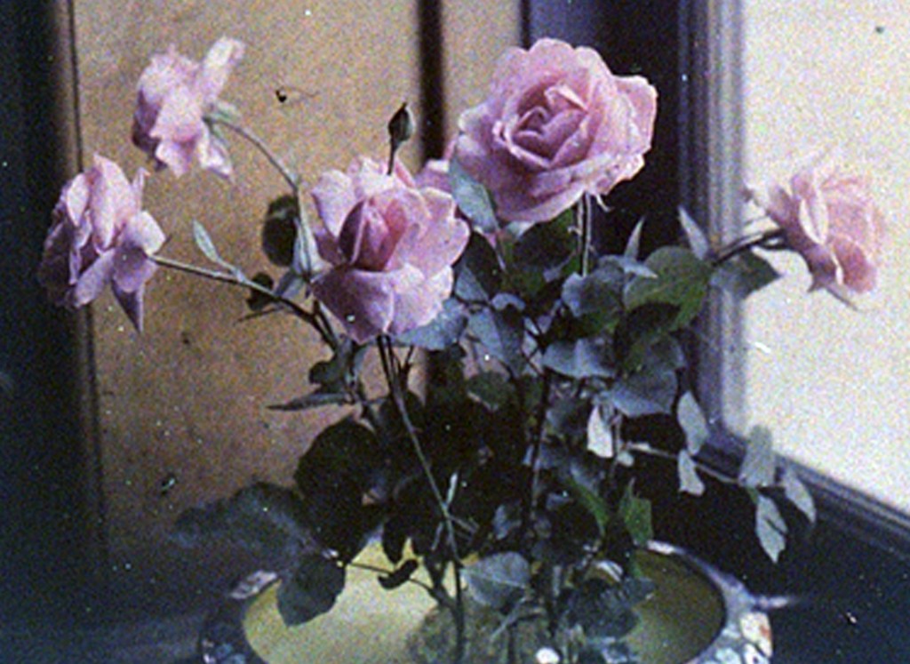 tumblr_nwjmzliquf1uh0hsfo1_500